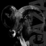 Gaza - I Don't Care Where I Go When I Die